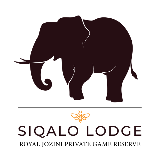 Siqalo Lodge Logo